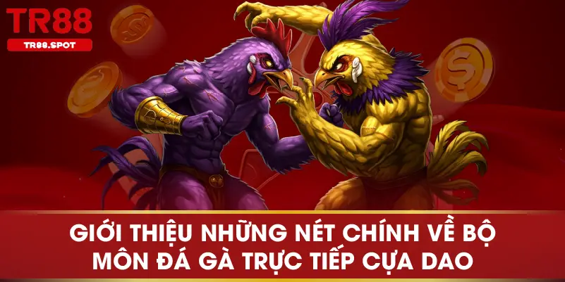 Giới thiệu những nét chính về bộ môn đá gà trực tiếp cựa dao
