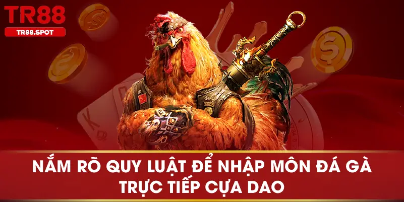 Nắm rõ quy luật để nhập môn đá gà trực tiếp cựa dao 